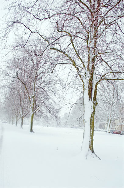 winter seasons. alert1 medical alert systems